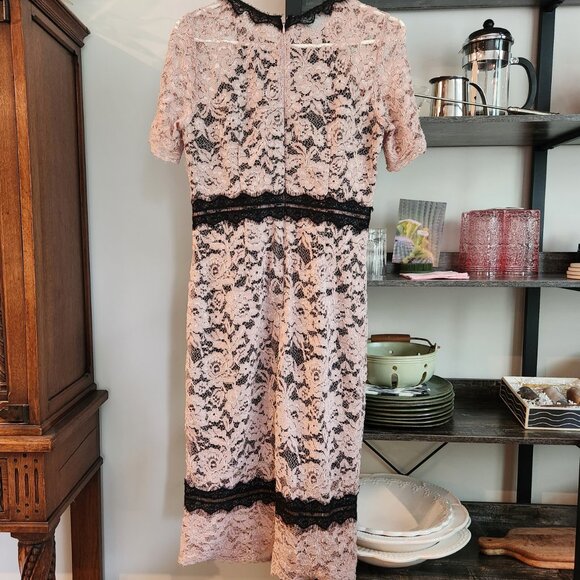 Gorgeous Lace Dressy Dress Pale Pink Black Jax Black Label Size 8 Beautiful Sexy - Picture 2 of 11